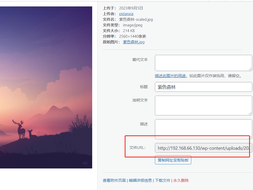 image-20230905003014121