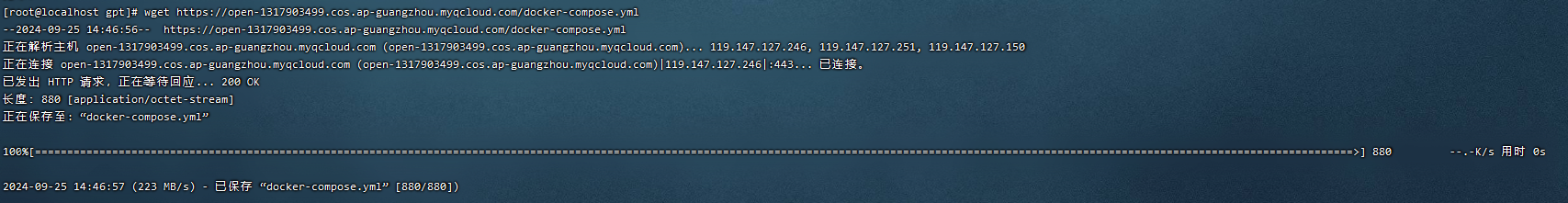 image-20240925144706704